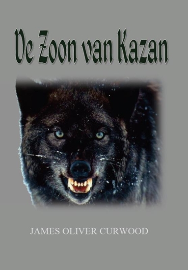 Afbeelding van De zoon van Kazan