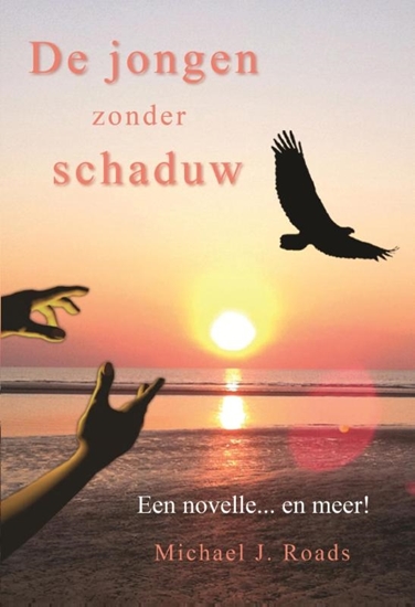 Afbeelding van De jongen zonder schaduw