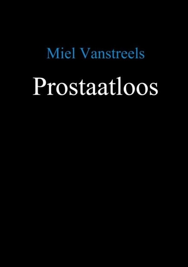 Afbeelding van Prostaatloos