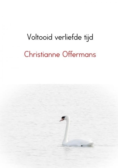 Afbeelding van Voltooid verliefde tijd