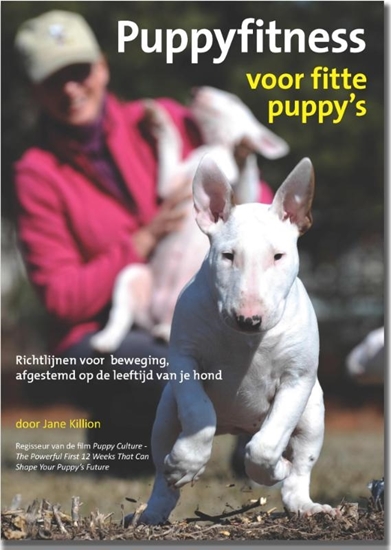 Afbeelding van Puppyfitness voor fitte puppy's
