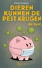 Afbeelding van Dieren kunnen de pest krijgen. En dan?