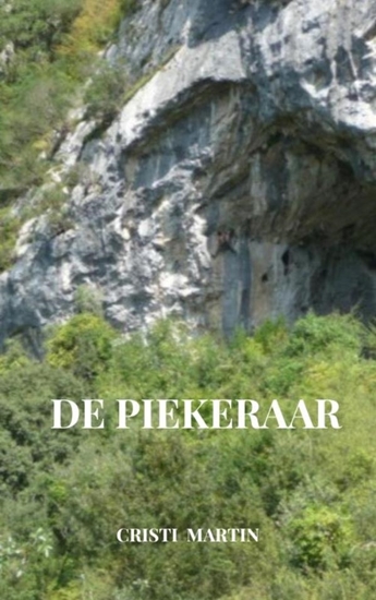 Afbeelding van De Piekeraar