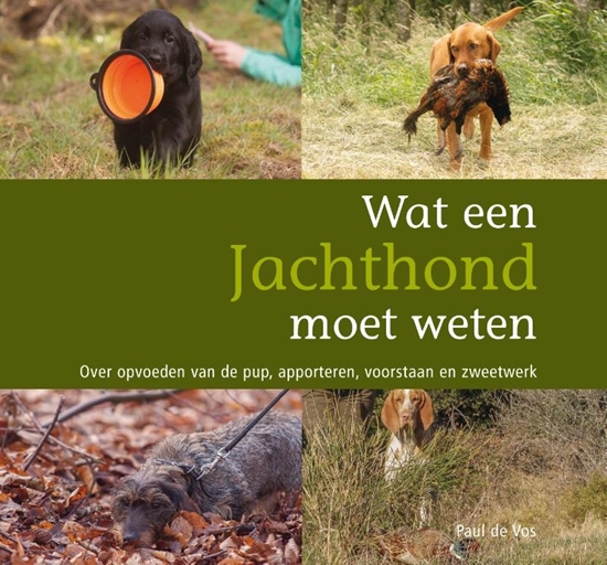 Afbeelding van Wat een jachthond moet weten