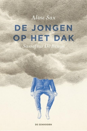 Afbeelding van De jongen op het dak