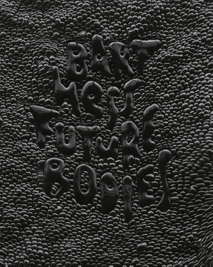 Afbeelding van Bart Hess. Future Bodies