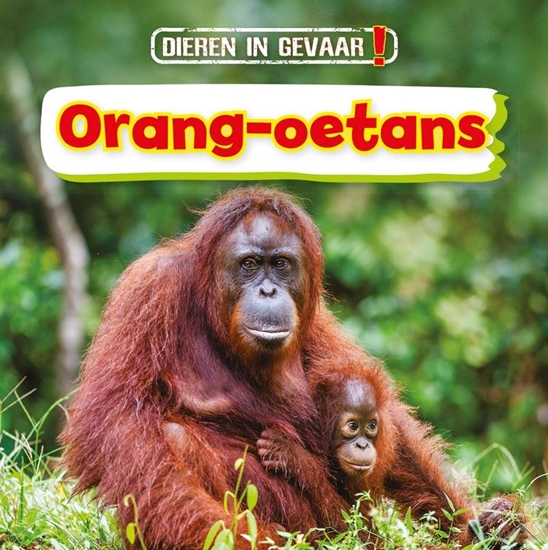 Afbeelding van Dieren in gevaar! Orang-oetans
