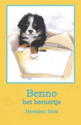 Afbeeldingen van Benno de Berner Sennenhond Benno het bernertje