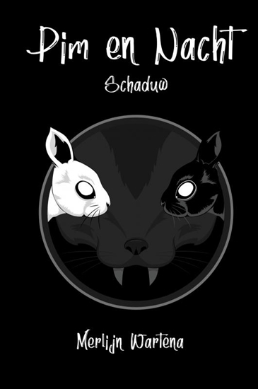 Afbeelding van Pim en Nacht