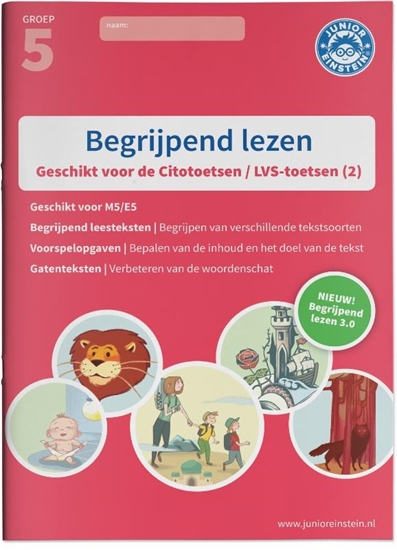 Afbeelding van Begrijpend lezen 2 Oefenboek
