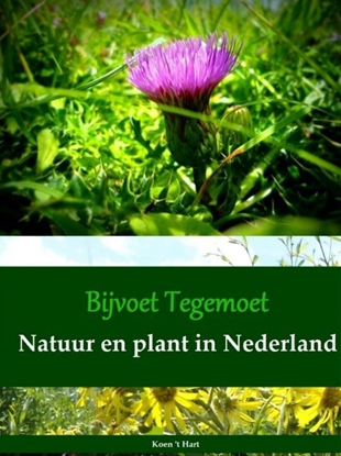 Afbeeldingen van Bijvoet Tegemoet