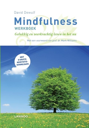 Afbeeldingen van Mindfulness werkboek