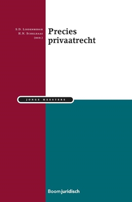 Afbeeldingen van Jonge meesters Precies privaatrecht