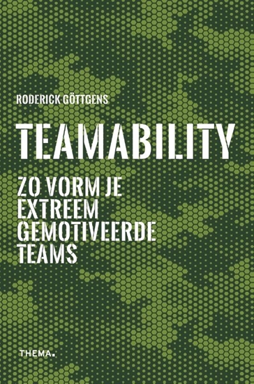 Afbeelding van Teamability