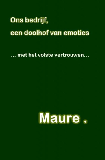 Afbeelding van Ons bedrijf, een doolhof van emoties