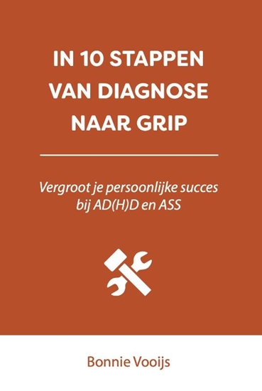 Afbeelding van In 10 stappen In 10 stappen van diagnose naar grip