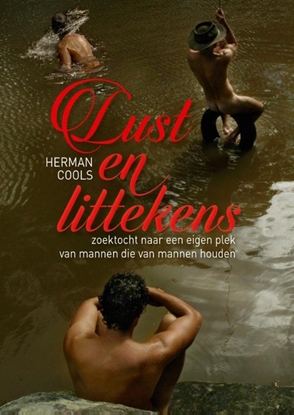 Afbeeldingen van Lust en littekens