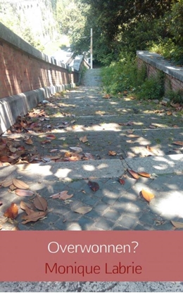 Afbeeldingen van Overwonnen?