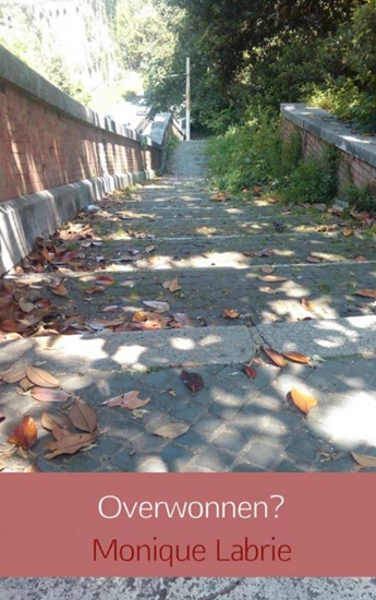 Afbeelding van Overwonnen?