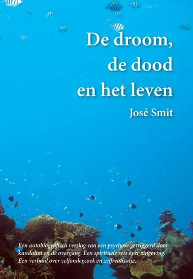 Afbeelding van De droom, de dood en het leven