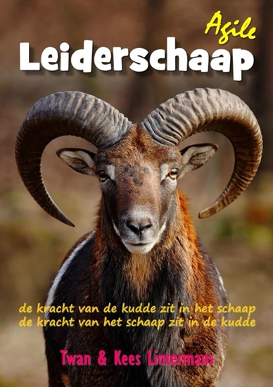 Afbeelding van Agile leiderschaap