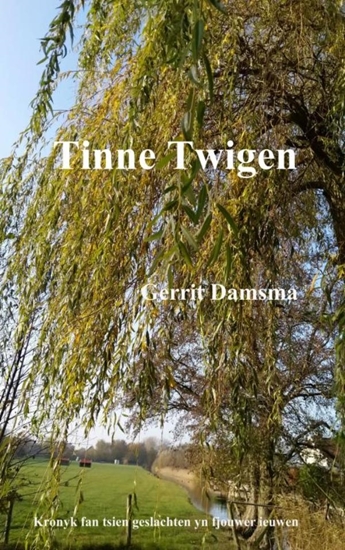 Afbeelding van Tinne Twigen