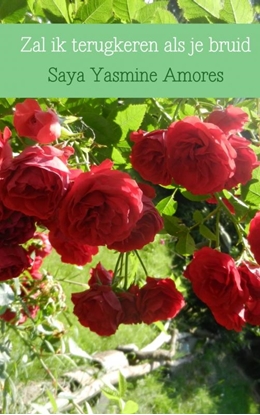 Afbeeldingen van Zal ik terugkeren als je bruid