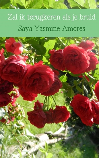 Afbeelding van Zal ik terugkeren als je bruid