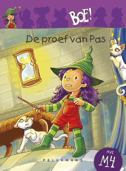 Afbeelding van De proef van Pas
