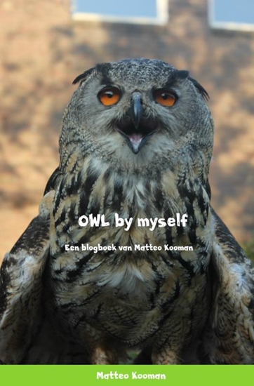 Afbeelding van OWL by myself