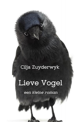 Afbeeldingen van Lieve Vogel