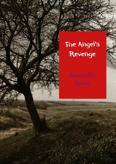 Afbeelding van The Angel's Revenge