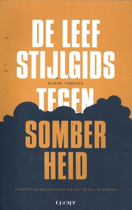 Afbeeldingen van De leefstijlgids tegen somberheid