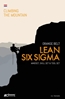 Afbeelding van Climbing the mountain Lean Six Sigma Orange Belt