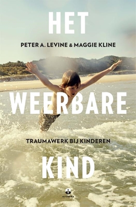 Afbeeldingen van Het weerbare kind