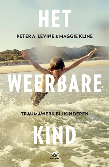 Afbeelding van Het weerbare kind