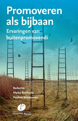 Afbeeldingen van Promoveren als bijbaan