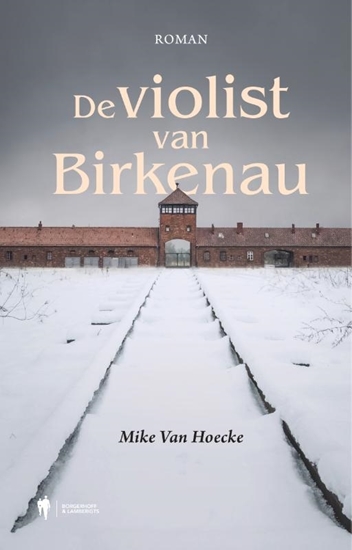 Afbeelding van De violist van Birkenau