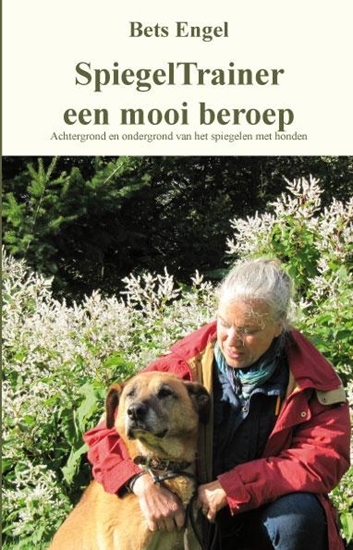 Afbeelding van Spiegeltrainer een mooi beroep