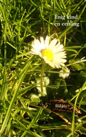 Afbeelding van Enig kind en eenling