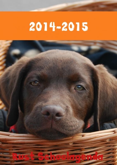 Afbeelding van 2014-2015