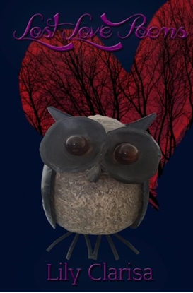 Afbeeldingen van Lost love poems