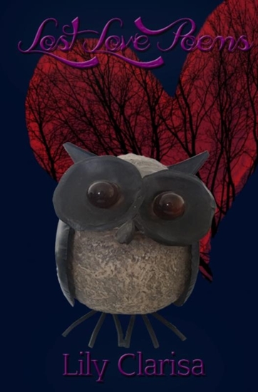 Afbeelding van Lost love poems