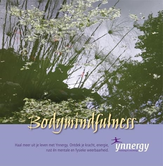 Afbeelding van Bodymindfulness