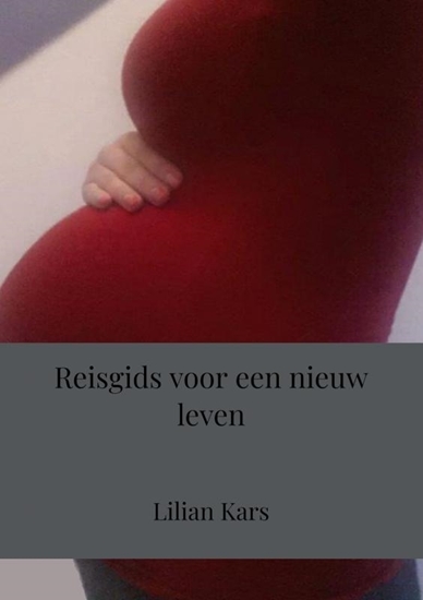 Afbeelding van Reisgids voor een nieuw leven