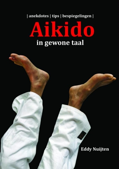 Afbeelding van Aikido in gewone taal