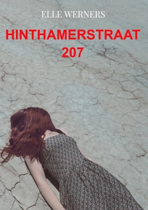 Afbeeldingen van HINTHAMERSTRAAT 207