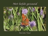 Afbeelding van Met liefde gezaaid