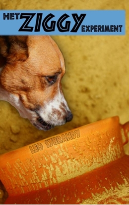 Afbeeldingen van Het Ziggy experiment