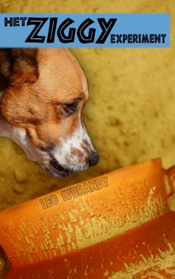 Afbeelding van Het Ziggy experiment